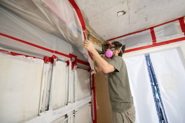 Best Forensic Mold Investigation  in Minden, NV